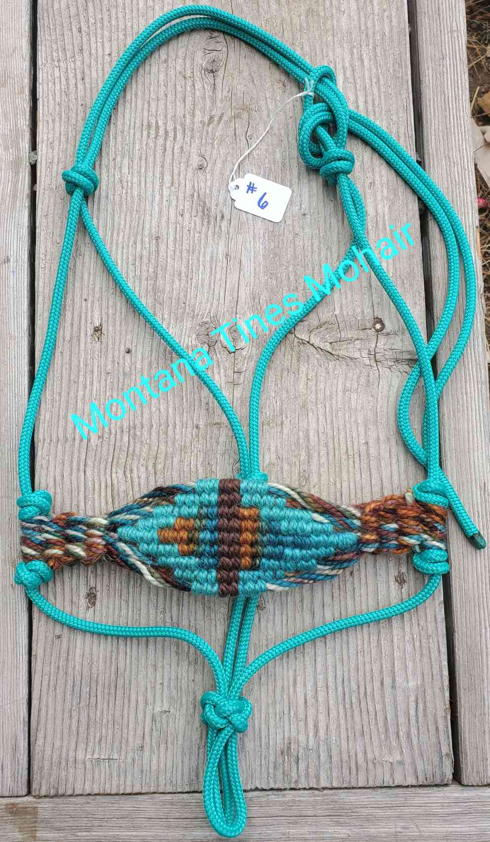 Average size halter #6