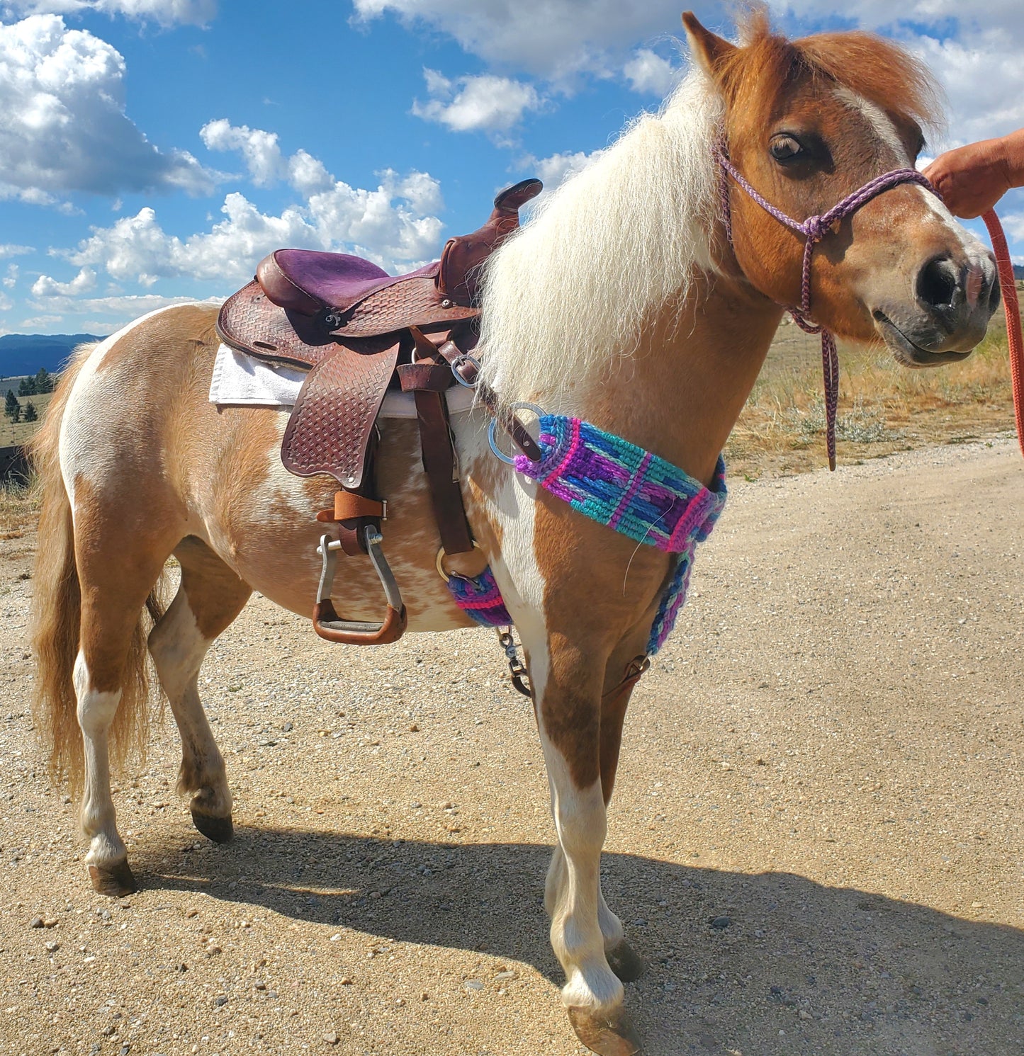 PONY Set