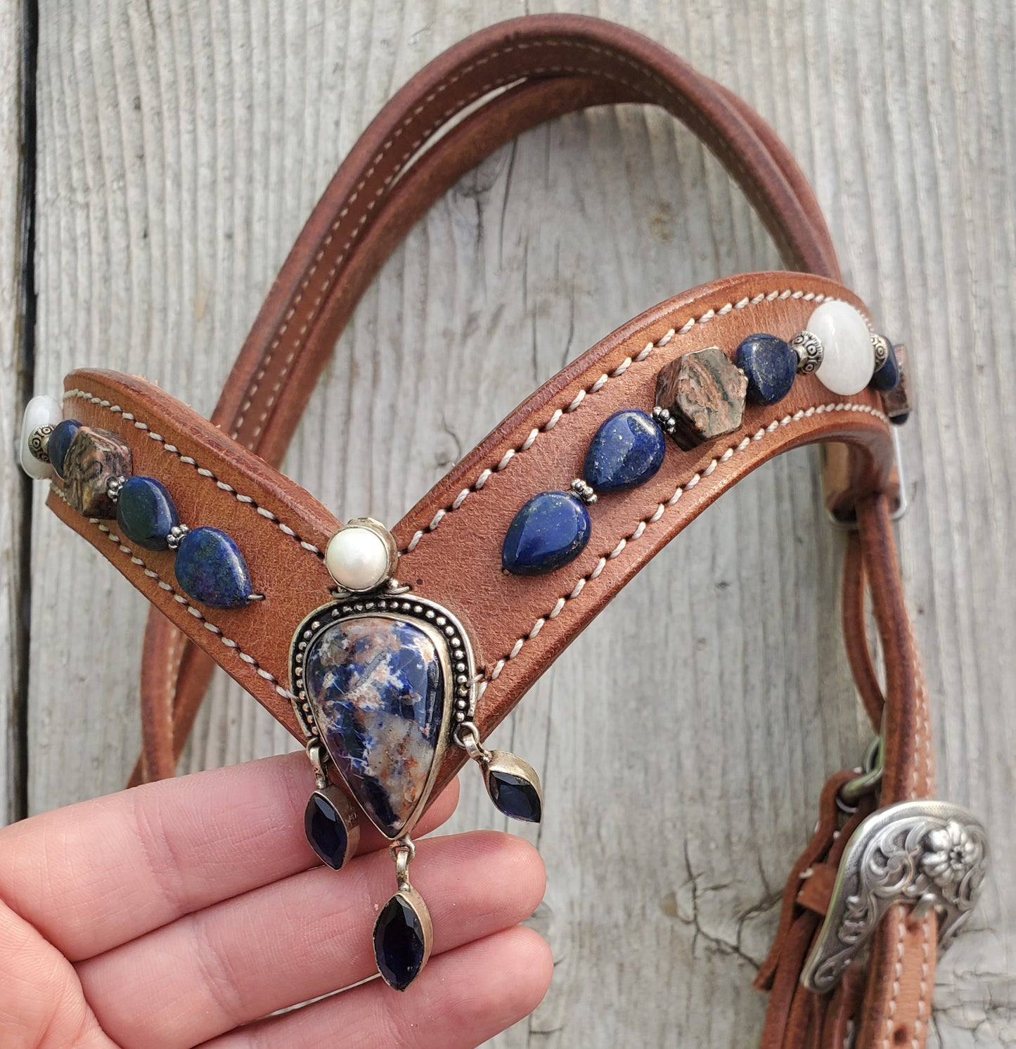 Equine Jeweled Designs headstall.