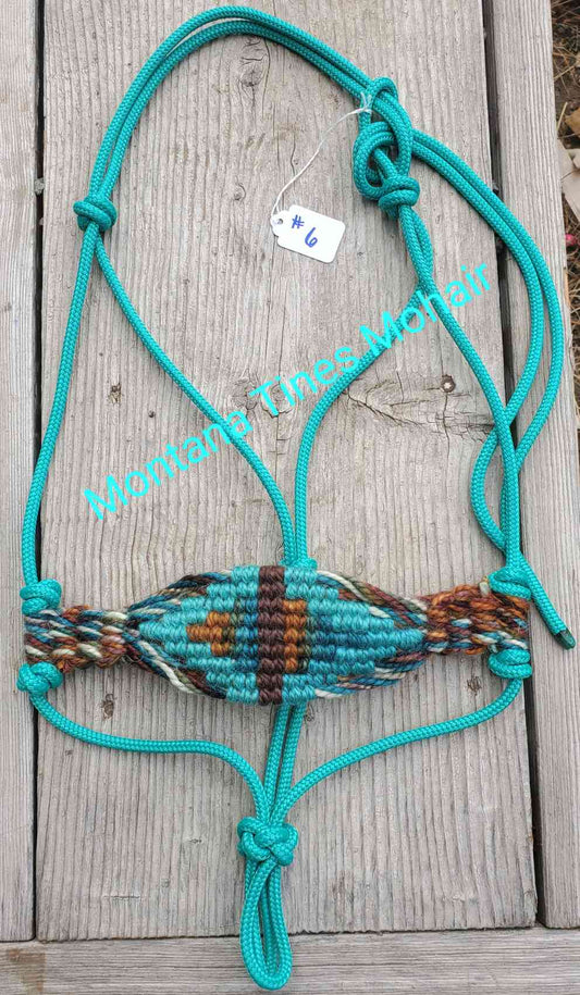 Average size halter #6