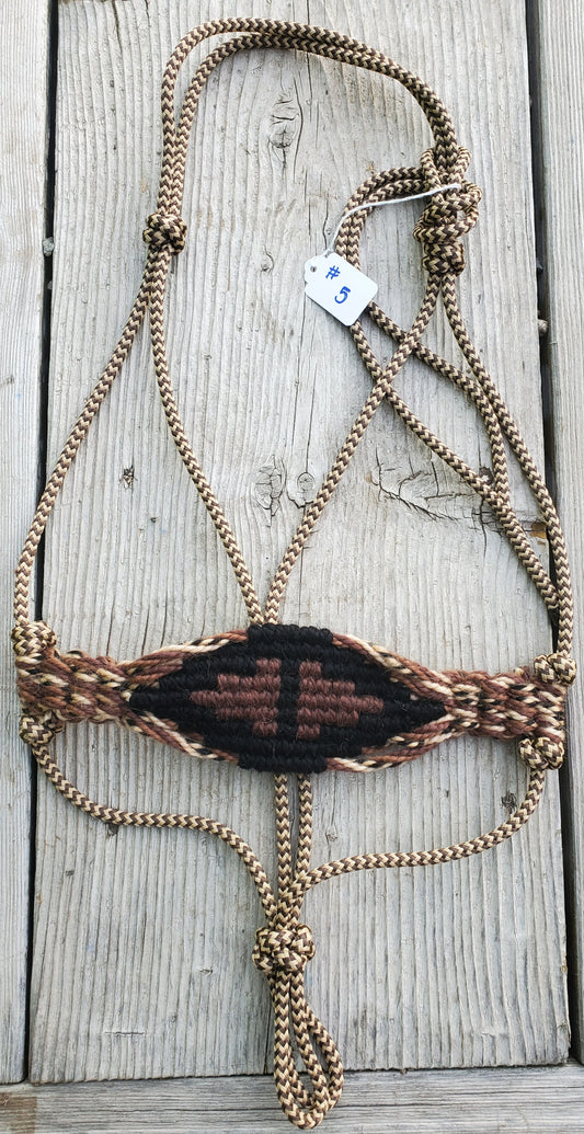 Average size halter #5